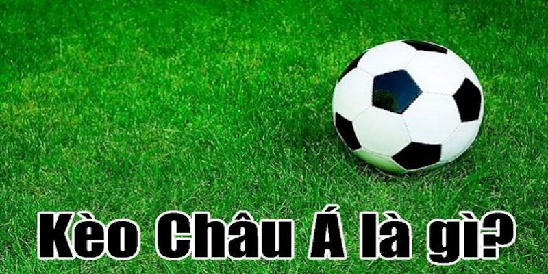 Đội cửa trên đá sân khách với tỷ lệ chấp 0.5 – 1