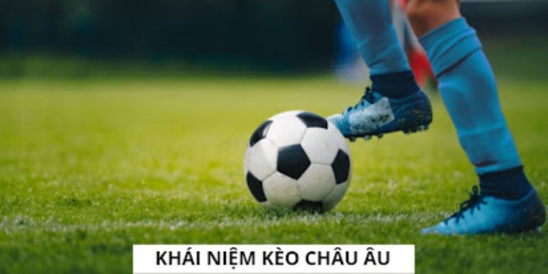 Khái niệm dễ hiểu nhất về loại Kèo châu Âu cho tân binh 