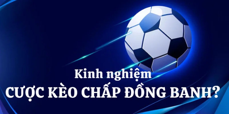 Kinh nghiệm dự đoán đồng banh trong cá độ thể thao vua