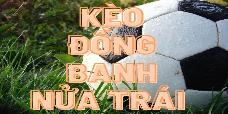 Khái niệm kèo đồng banh nửa trái tại Kèo Nhà Cái